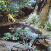 自然館の展示より。約230万年前の甲賀市を再現
